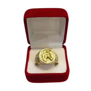 Anillo sello redondo cabeza caballo circones plata 925 oro - anillos sellos Santiago Chile
