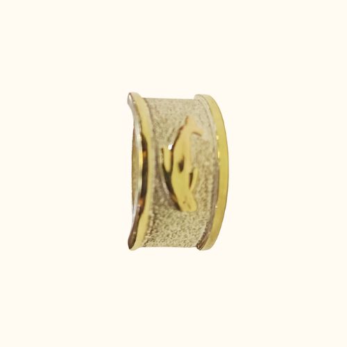 Anillo Juvenil Modelo: Romano Delfín en Plata Fina con Oro - Imagen 3