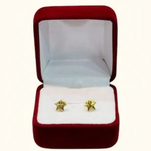 Aros Juveniles Modelo: Estrella Bombeada Número 1 en Oro18K