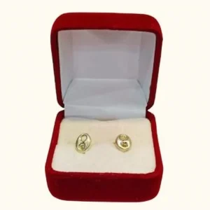 Aros Juveniles en Plata fina Modelo : Gucci