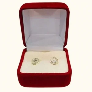 Aros Juveniles Modelo : Pochy Circón en Plata Fina