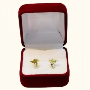 Aros Juveniles Modelo: Tinkerbell en Oro18K